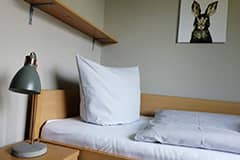 zimmer1